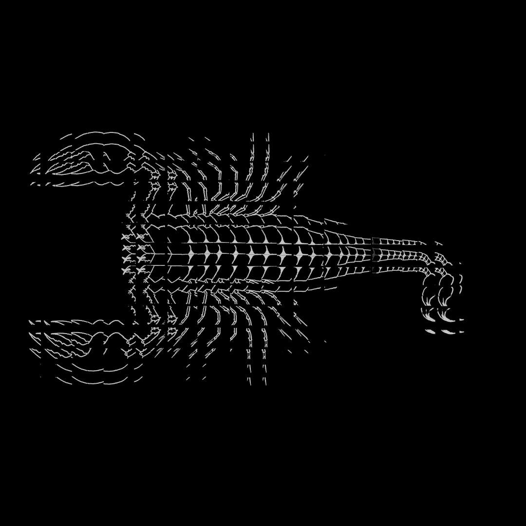 EQUINOX MULTIMEDIA