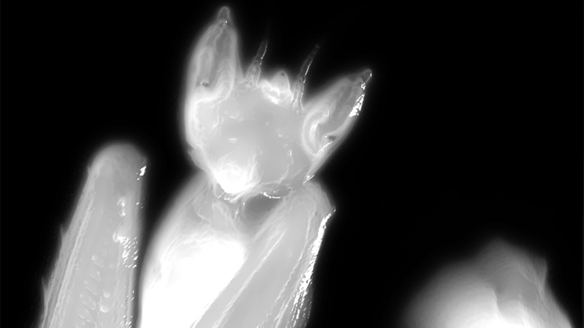 COLLECTIVE RESONANCE